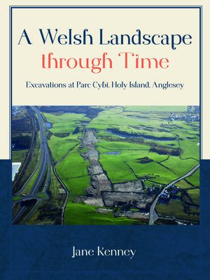 cover image of A Welsh Landscape through Time